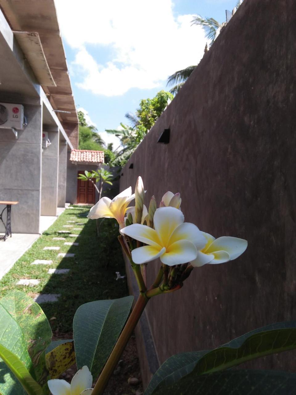 N 34 Hotel มิริสซา ภายนอก รูปภาพ